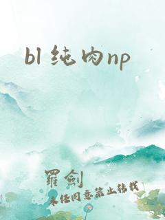 bl 纯肉np
