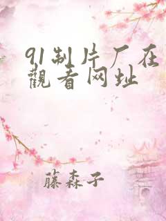 91制片厂在线观看网址