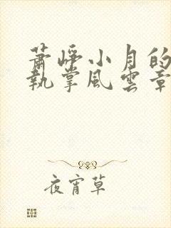 萧峥小月的小说执掌风云章节更新