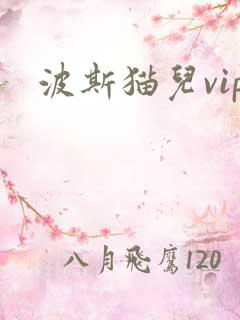 波斯猫儿vip