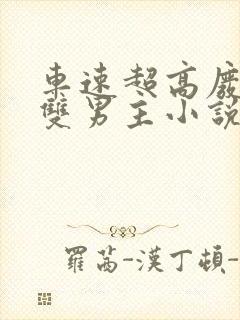 车速超高废文的双男主小说推荐完结