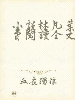 小说林凡叶惜免费阅读全文最新