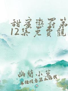 甜蜜惩罚第一季12集免费观看在线播放