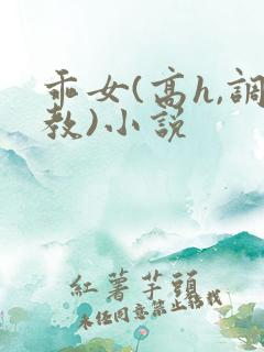 乖女(高h,调教)小说