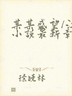 某某盛望/江添小说最新章节阅