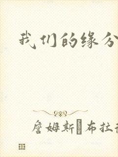 我们的缘分小说