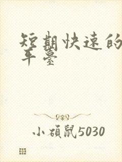 短期快速的借款平台