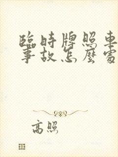 临时牌照车出了事故怎么处理