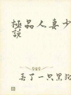 极品人妻少妇小说