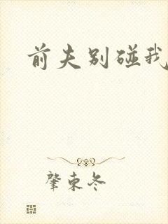 前夫别碰我
