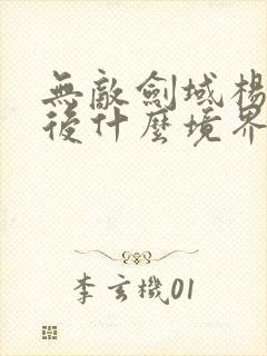 无敌剑域杨叶最后什么境界