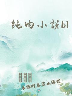 纯肉小说bl