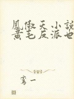 凤傲天小说里的黄毛反派也想要幸福小说