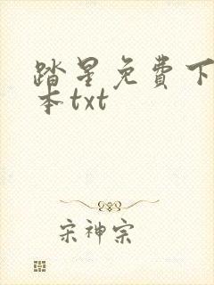 踏星免费下载全本txt