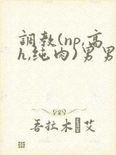 调教(np,高h,纯肉)男男