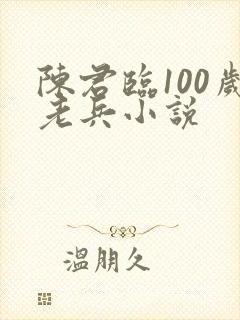 陈君临100岁老兵小说