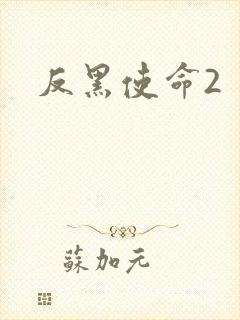 反黑使命2