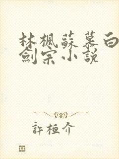 林枫苏慕白神霄剑宗小说