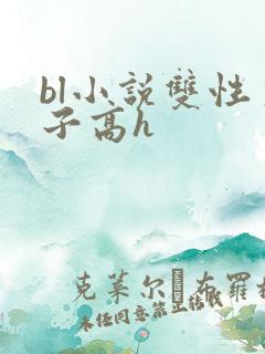 bl小说双性生子高h