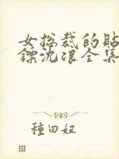 女总裁的贴身保镖沈浪全集完整版