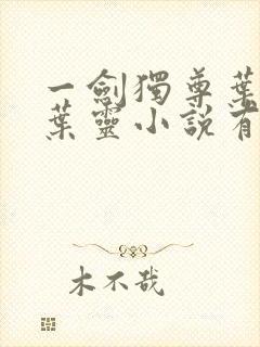 一剑独尊叶玄,叶灵小说有声小说