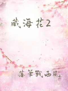 藏海花2