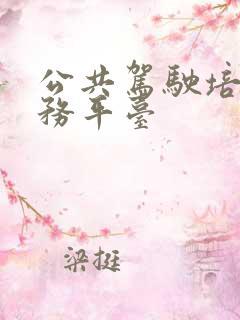 公共驾驶培训服务平台