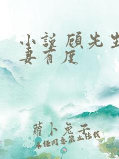 小说 顾先生宠妻有度