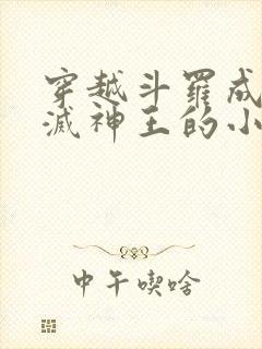 穿越斗罗成为毁灭神王的小说