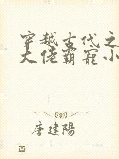 穿越古代之末世大佬霸宠小夫郎