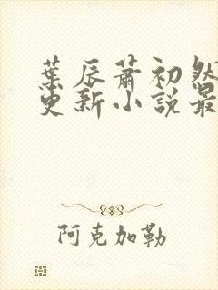 叶辰萧初然最快更新小说最新