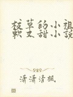 校草的小祖宗又软又甜小说免费阅读