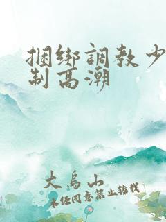 捆绑调教少妇强制高潮