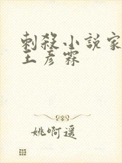 刺杀小说家2 王彦霖