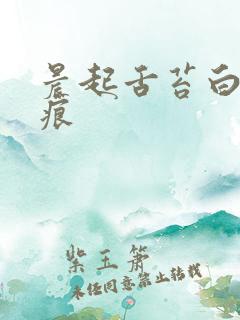 晨起舌苔白腻齿痕