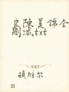 良陈美锦全文无删减txt