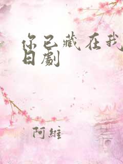 你已藏在我心底日剧