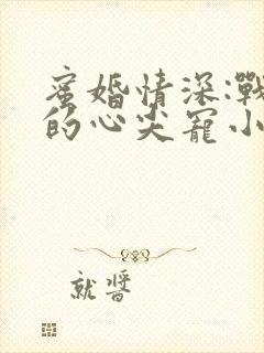 蜜婚情深:战少的心尖宠小说
