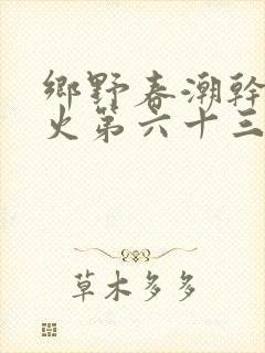 乡野春潮干柴烈火第六十三章