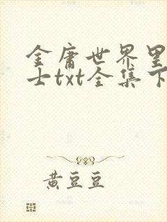 金庸世界里的道士txt全集下载