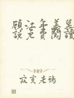 顾江年姜慕晚小说免费阅读