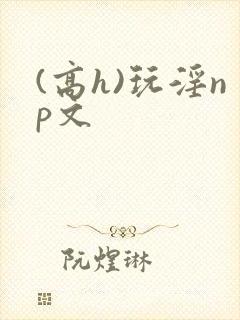 (高h)玩淫np文