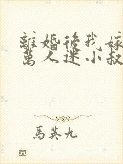 离婚后我嫁给了万人迷小叔