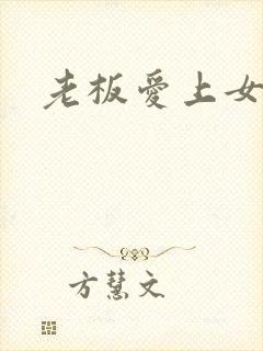 老板爱上女秘书