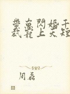 带崽闪婚千亿总裁宠上天短剧免费观看