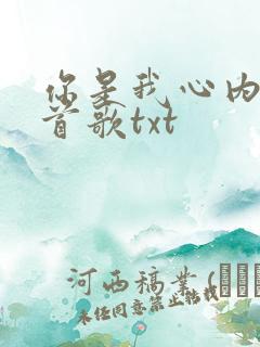 你是我心内的一首歌txt