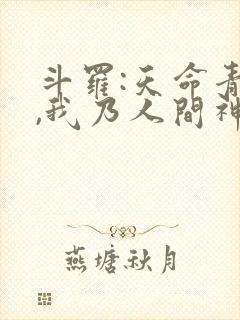 斗罗:天命青龙,我乃人间神君