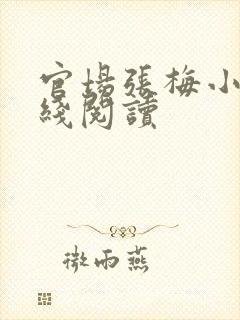 官场张梅小说在线阅读