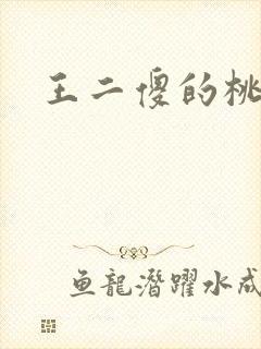 王二傻的桃花运