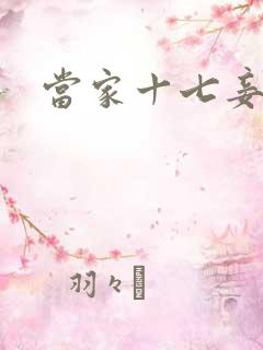 当家十七妾